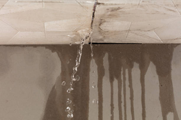 Professional Structural Drying technician working in Allenspark, CO
